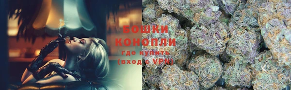 дживик Липки